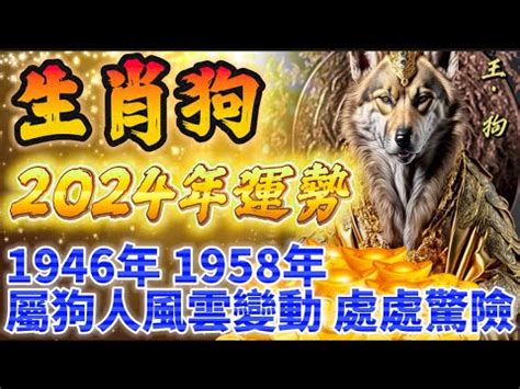 狗金生意思|生肖屬狗五行屬性的人性格命運「金、木、水、火、土」